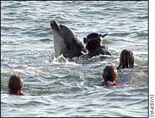 Georges, swimming with members of the Dorset public